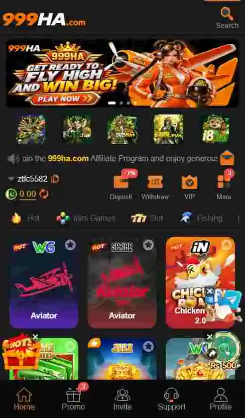999HA  interface