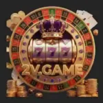 2v Game